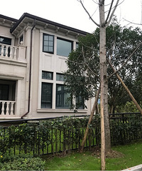 重庆高端住宅比三年跌多了,独栋1万多点儿一平米。
