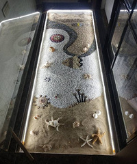 Ϊص涨һⱴǻһŻ412Ԫ