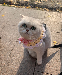 ��³�ࡱ������