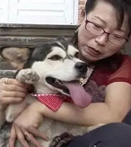 ���Ϲ�ʿ��ȥ����