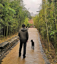 ��л�������ҵ�����