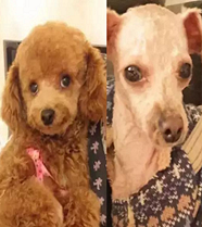 �ѹ������Ŵ�֮�󡭡�