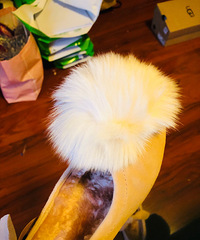 ֵëЬֵůͣڽϺܿɰŶ