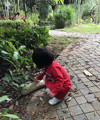 ���������ȥ�ӻ�����+���μ�