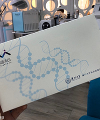 Ƥ˸죬滹ܿƤķѣע