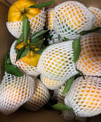 ʵˮ̫10ҰҸ̲29.9Ԫ