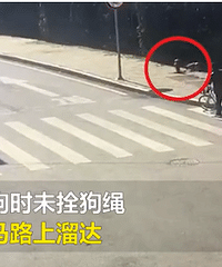 �����޹���˩������ײ��Ҫ�⳥�������������˸�ȫ��