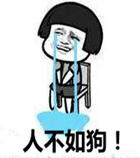 土豪狗聚会,2万元给狗子泡药浴…主人:听说泡完狗可以多活几年