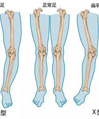 ޶·ڰôƽʱرϲŽ·