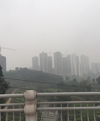 经过茶园,到处都在建房子呀