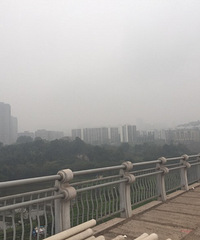 经过茶园,到处都在建房子呀