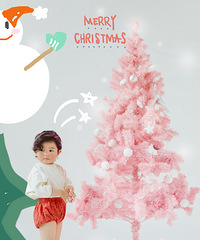 �����������ɫ��ʥ����----��ľ��ͯ��Ʒ