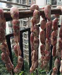 ����������Ź��㳦�����죬���ڶ�������