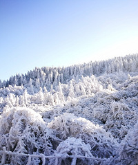 晴天与仙女山雪景相约+冬游季