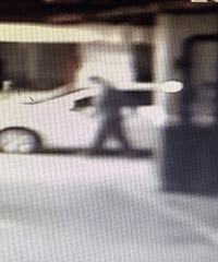 ͣС�������ڳ����Աߵĳ�����502����о�ˣ�զ�졾���������š�