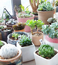 칫Һͼﶼ˶£СһҪ֪