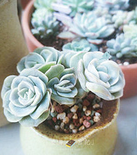 칫Һͼﶼ˶£СһҪ֪