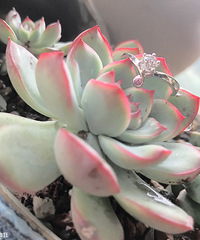 ÿ��Ů���Ӷ��ֵ����˵��ջ�ʵ�����̫����