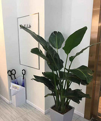 �о����˸���ſ�680Ԫ�������޴����Ļ������۸�ðײ�