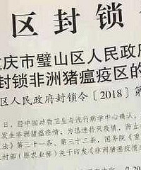 注意!璧山区发生非洲猪瘟疫情