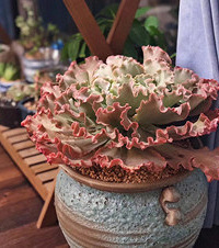 Ψһֵ飬ǵı仯гɾ͸