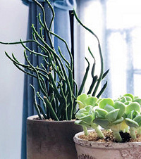 ����������Ψһ��ֵ����飬�������ǵı仯�����гɾ͸�