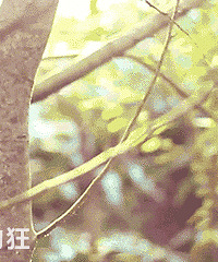 ���򿨶༸�󻭡���Ů���ĳ��˲�������ֽ�ϵ����ޡ�