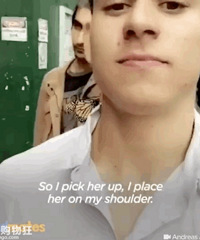 ŦԼС��ͺ�������������