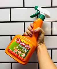 12���Ҿ��������Ƽ��������ֲ����ڶ�����