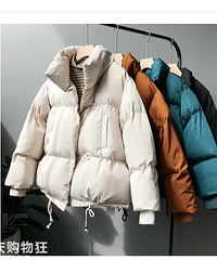 رıů޷ţֻҪ100ļ۸