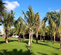 б׵޶˲𣬴Ҷӵȥܺ