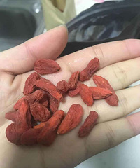 跟团的坚果到手了,大颗粒的松子好吃得停不下来,比超市品质好
