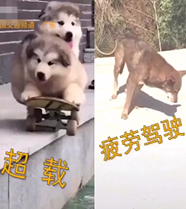 �ȳ�潻ͨ������