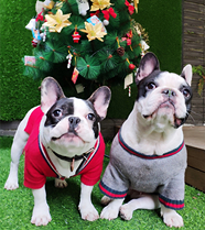 ������ֻ�ȷ���