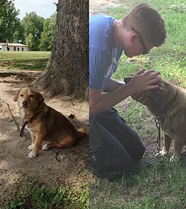 ����������12��