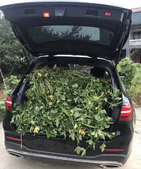 ��ĺ����ﶼװ��ɶ����Ҷ�������һ����