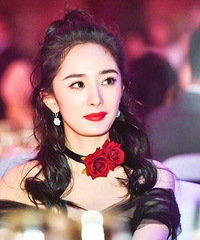 ����������鱳��������ϵ