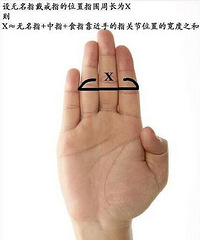 ��֪����ô��Ů�������ָ�ߴ�Ľ�������������������׼ȷ