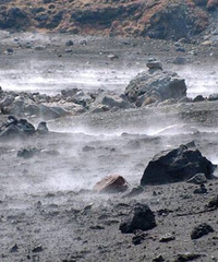 ����Ʊ������β����������ο����Դ����������ȼٵض���ô������