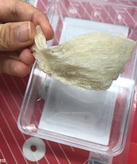 ���æ����һ���ҵ����ѣ�˳���ռ���֪ʶ