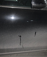 ����Ҫ���ı���