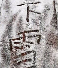 最新:缙云山下雪了! 漫山遍野都是雪