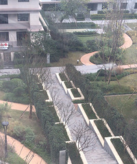 �̼�ceo���17Ӣ�����