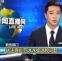 邪教出柜性侵家暴私生子,偷税枪击吸毒诈捐养小三,去年所有八卦