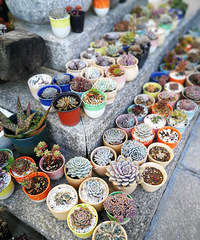 ���ϵĶ��⣬����ĺ�