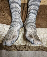 ��Ȼ����è������