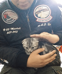 ����ֱ��Ҳιè��