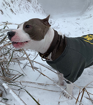 ������ȥ��Ůɽ��ѩ