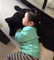 Ů���͹����ĸ���