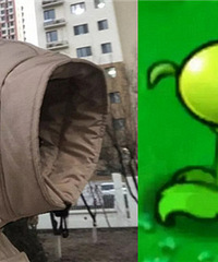 �������·����ţ�����·�˲�Ŀ